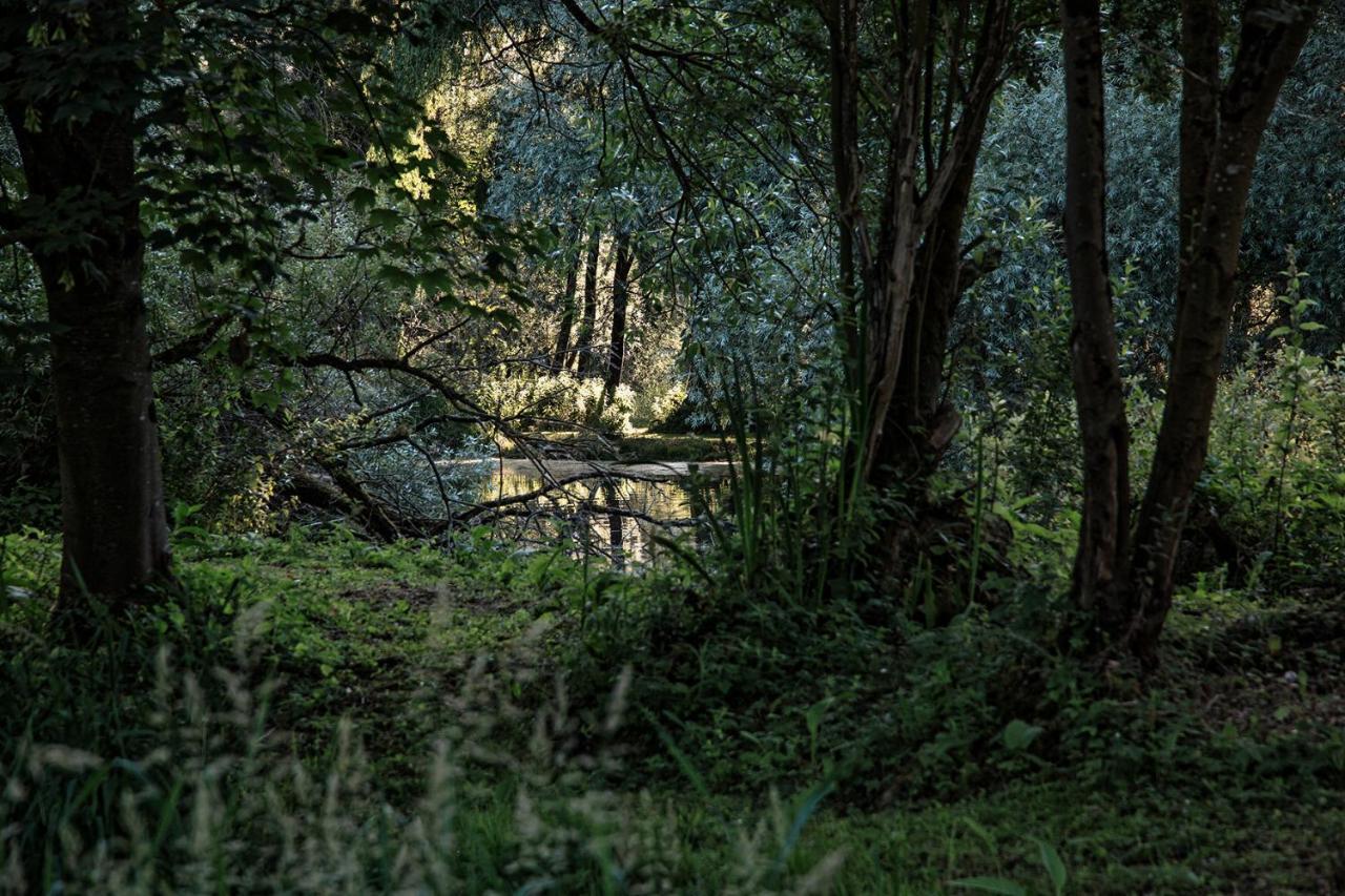 Les Cabanes Des Marais La Madelaine-sous-Montreuil 외부 사진